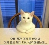 오빠잠깐앉아봐.jpg