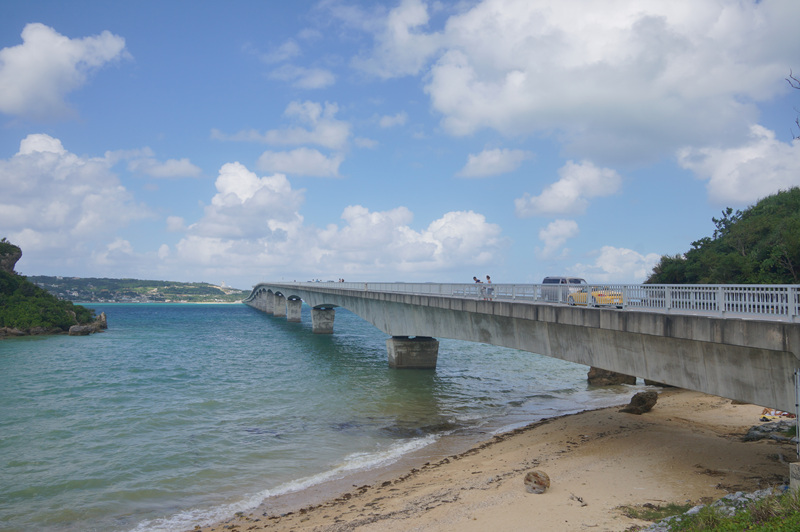 DSC03550.jpg