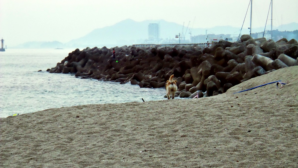 20160925_062631.jpg