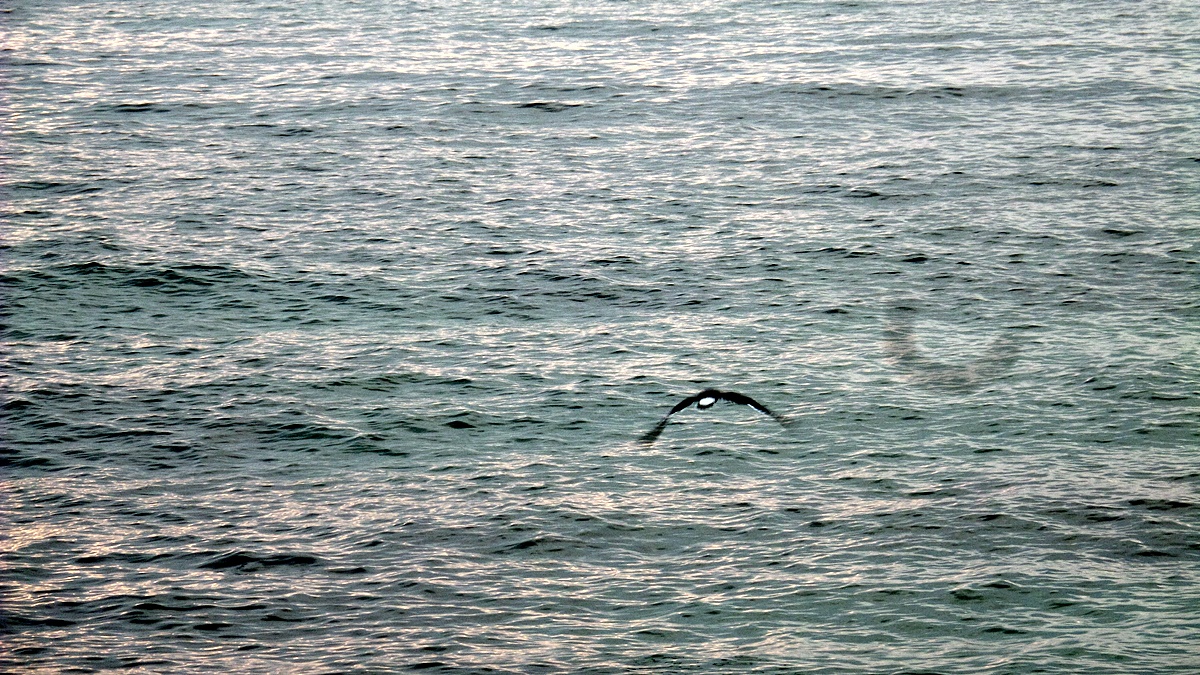 20160925_070054.jpg