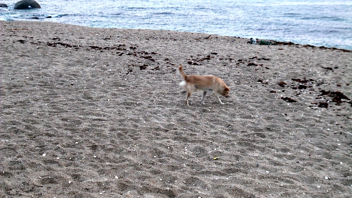 20160925_062612.jpg