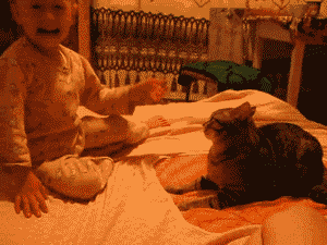 3717326467_4c8b6fda_IMG_3015.GIF