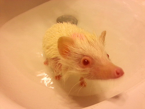 reee-20130214_213338.jpg