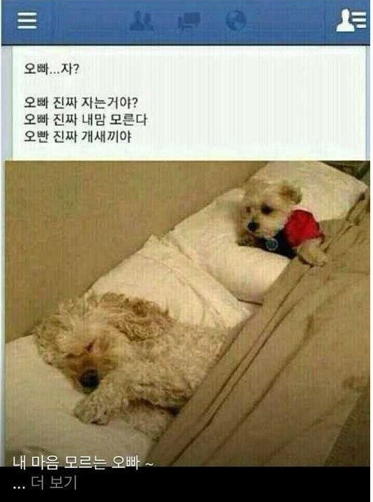내마음모르는오빠.png