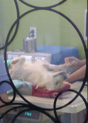 KakaoTalk_20150902_144848178.jpg