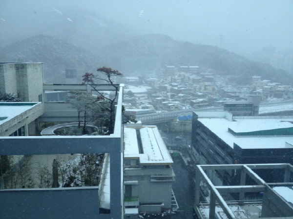 ___IMG_1629.JPG