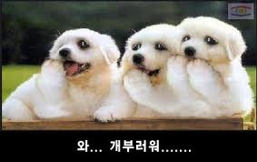 다운로드 (9).jpg