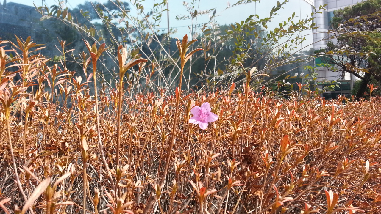 20141111_120446.jpg