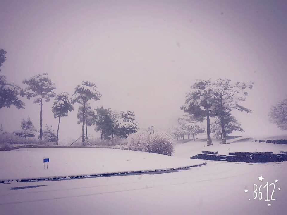 대명1.jpg