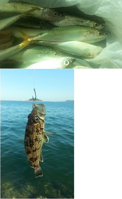 크기변환_20130901_144207.jpg