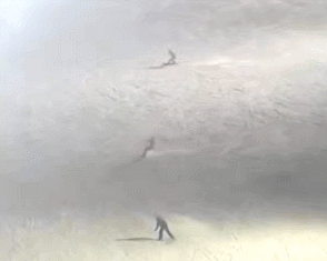 비발디 테크노.gif