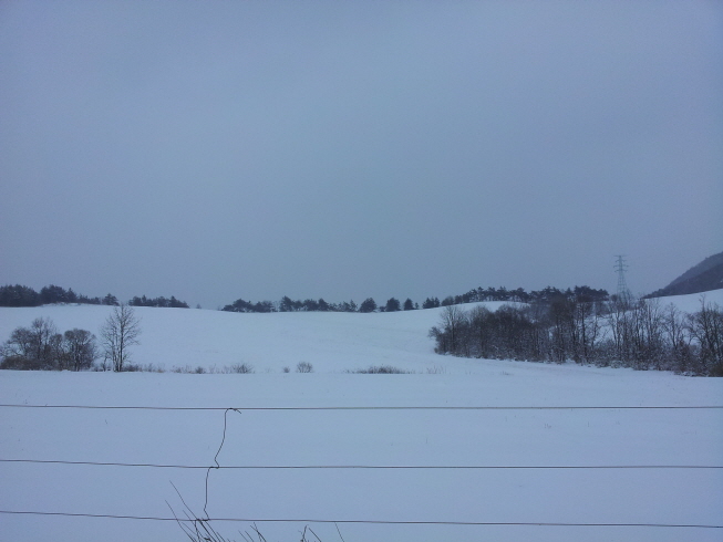 a_20150218_154624.jpg