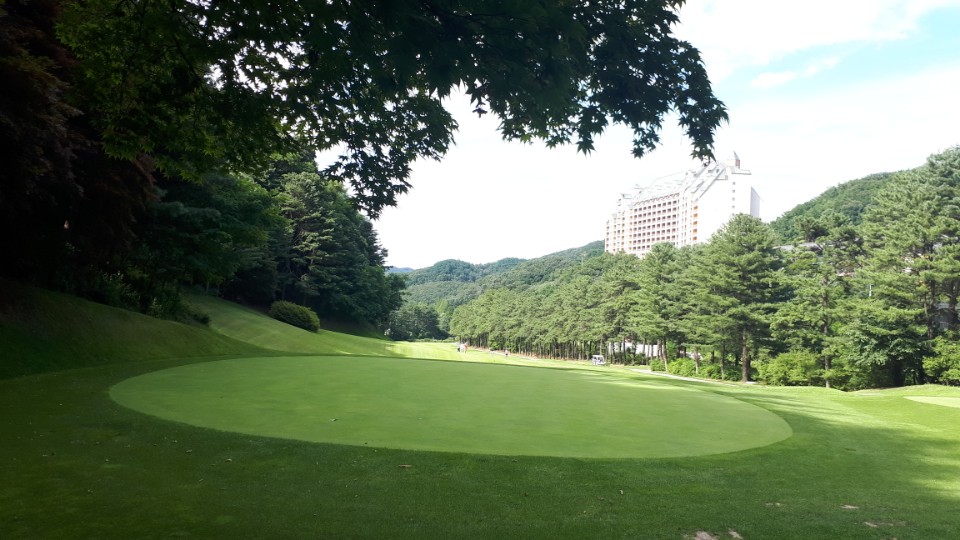 KakaoTalk_20180709_074442557.jpg