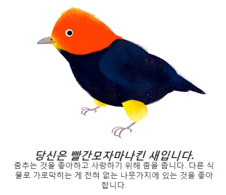 새.jpg