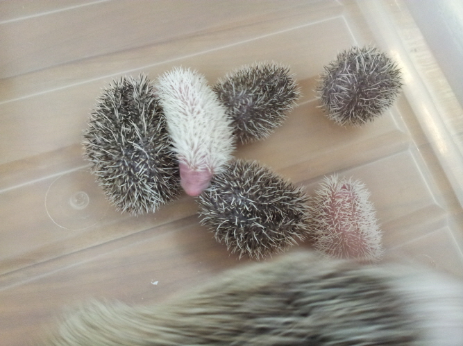 20120902_153335.jpg
