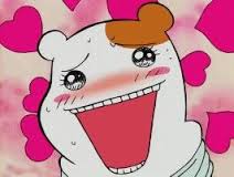애니하트.jpg