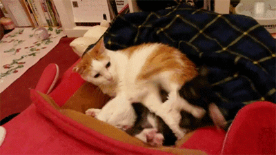 이걸콱~.gif