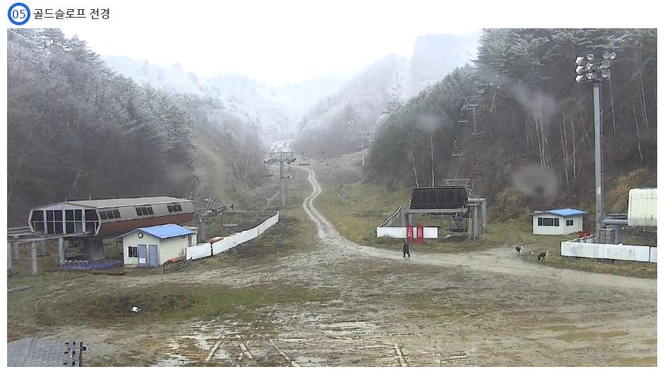 제목 없음.JPG