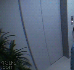 (깜놀) 엘리베이터.gif
