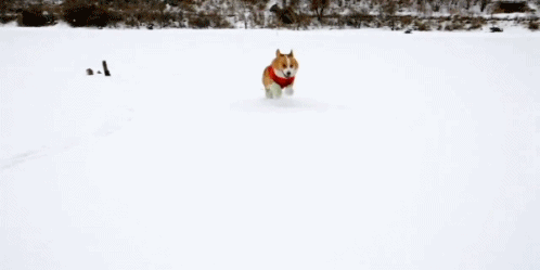 tumblr_ma8ua9q3Da1qiwf8po1_500.gif