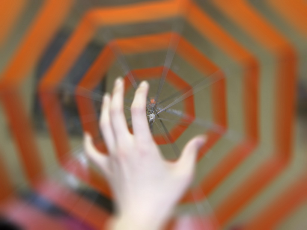 100_5512b_resize.jpg