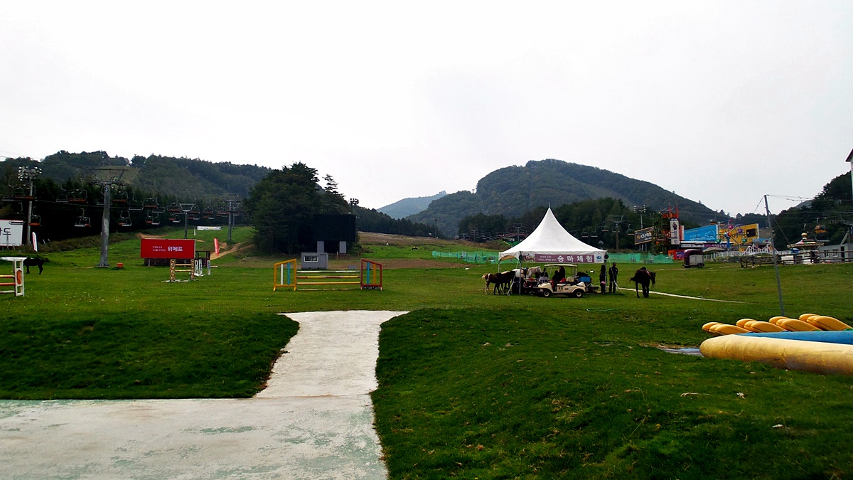20160925_120320.jpg