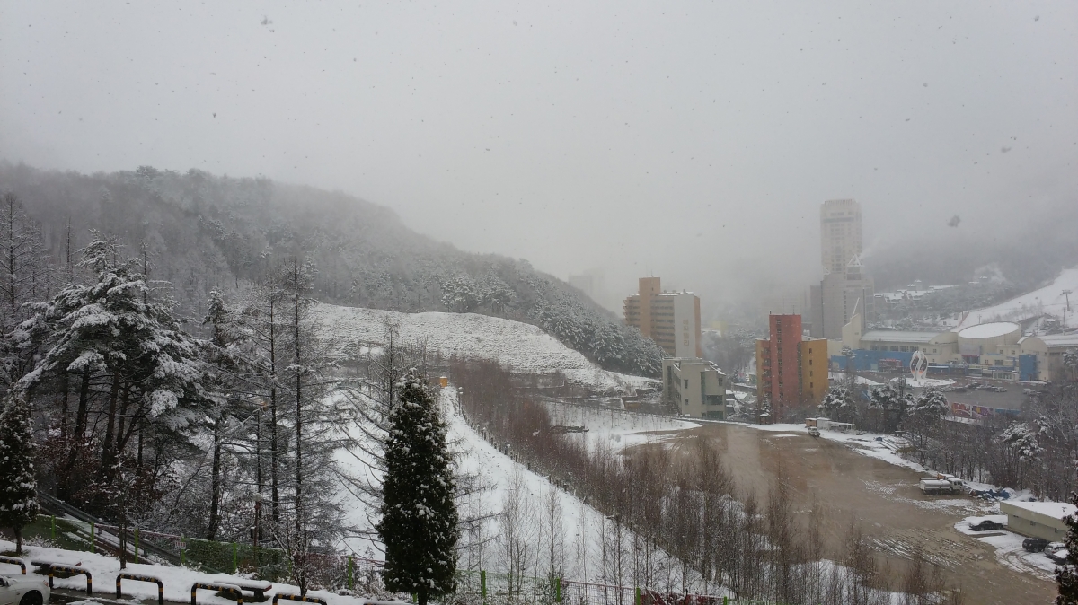 20151125_130333.jpg