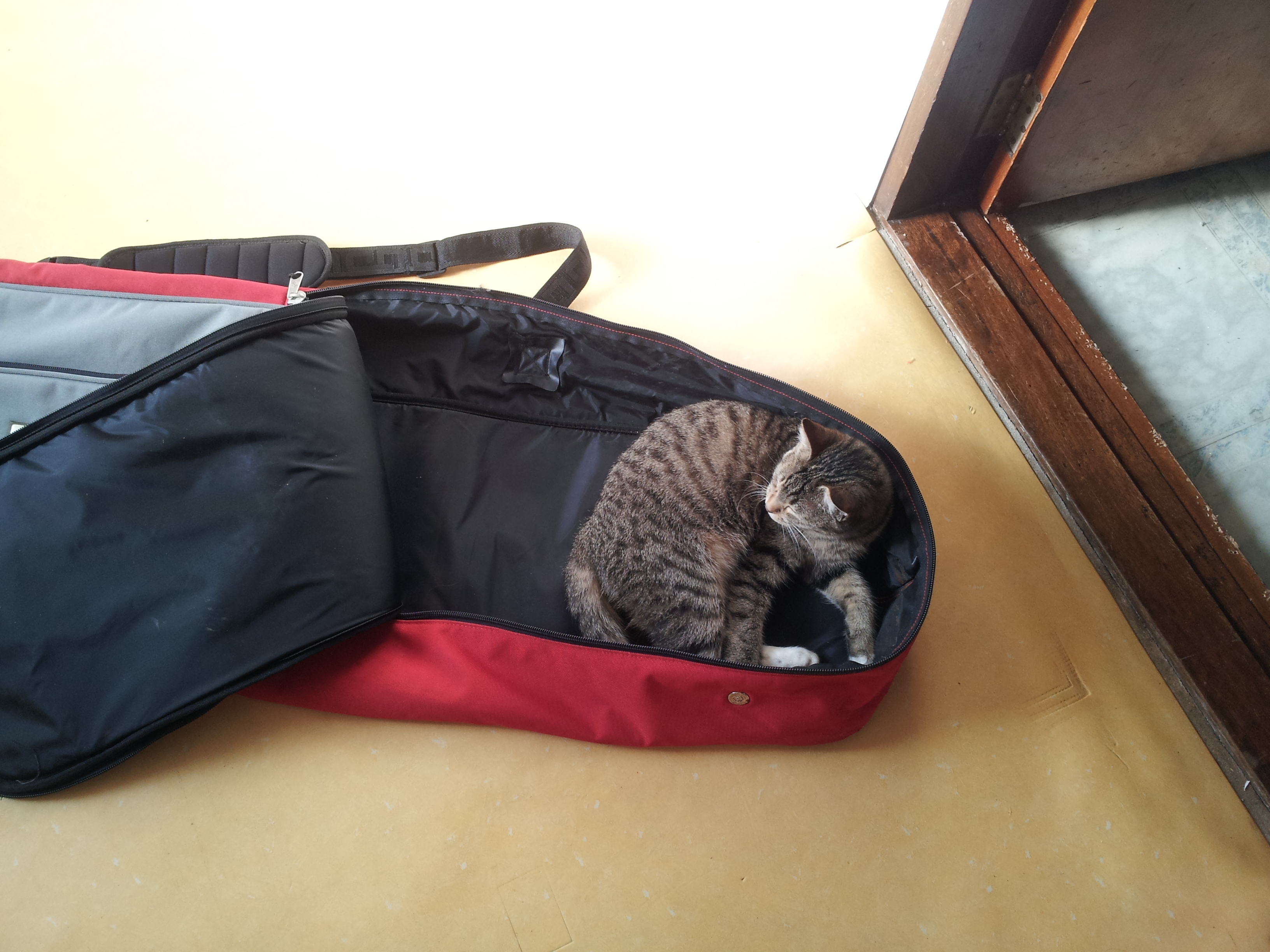 20130316_163859.jpg
