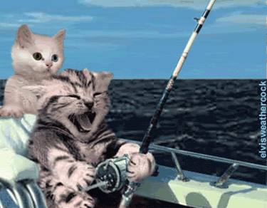 35307829.v1333887345.gif