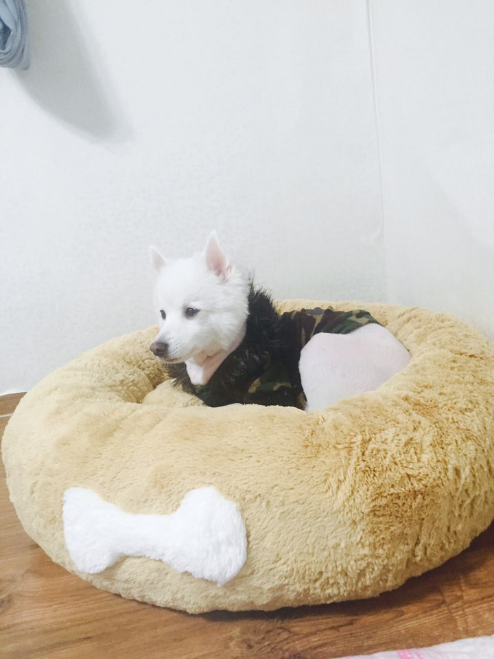 KakaoTalk_20151114_102340238.jpg