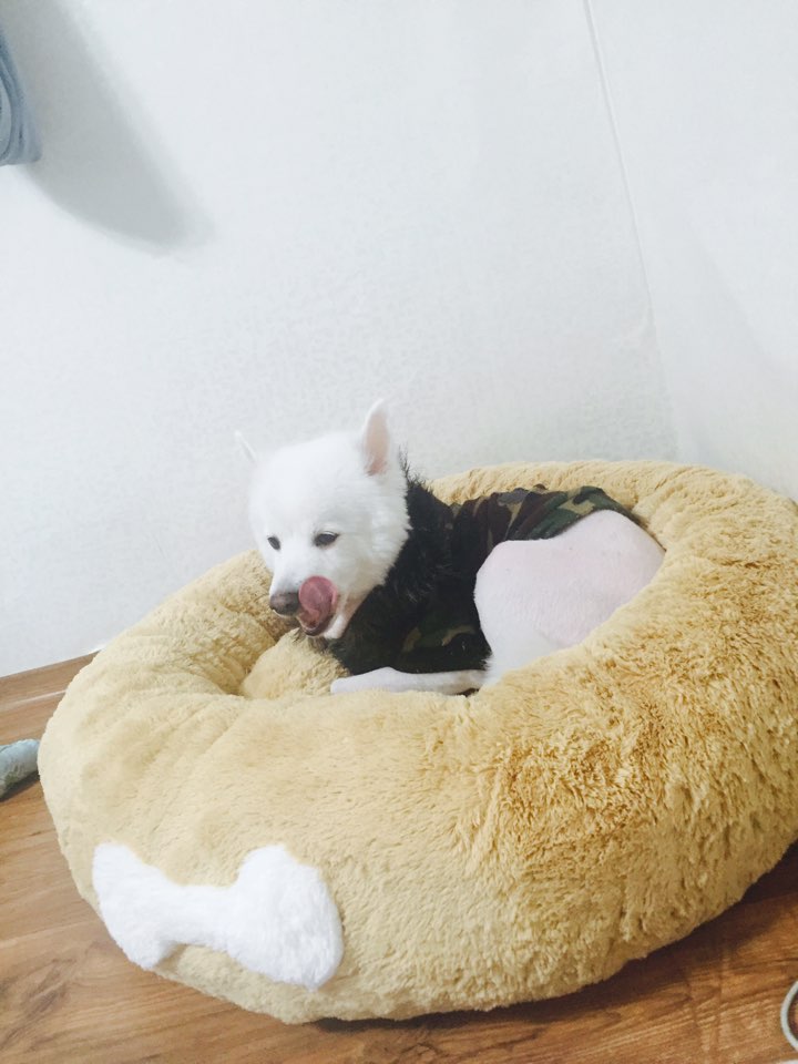 KakaoTalk_20151114_102345129.jpg