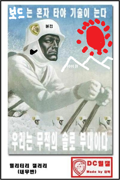 ski_1solo.jpg