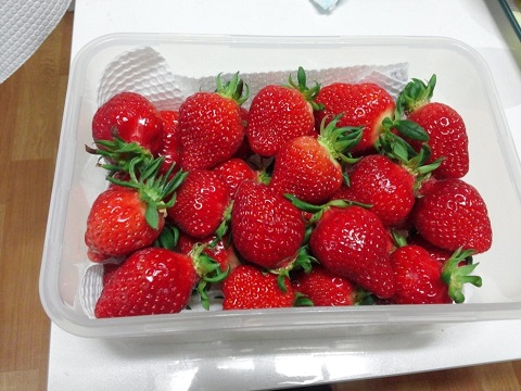 KakaoTalk_20150108_105815216.jpg