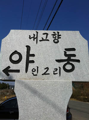 yadong1.jpg