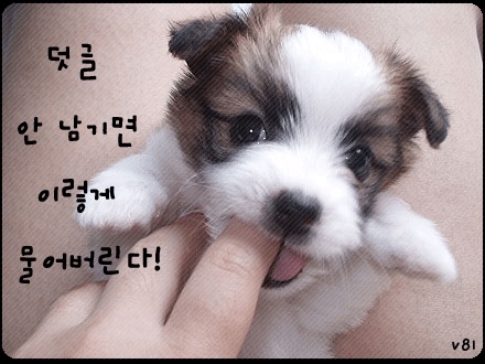 img77_tmp.jpg