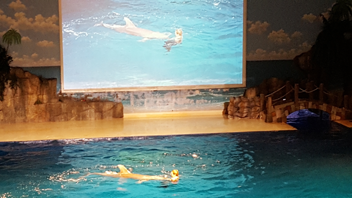 돌고래.jpg