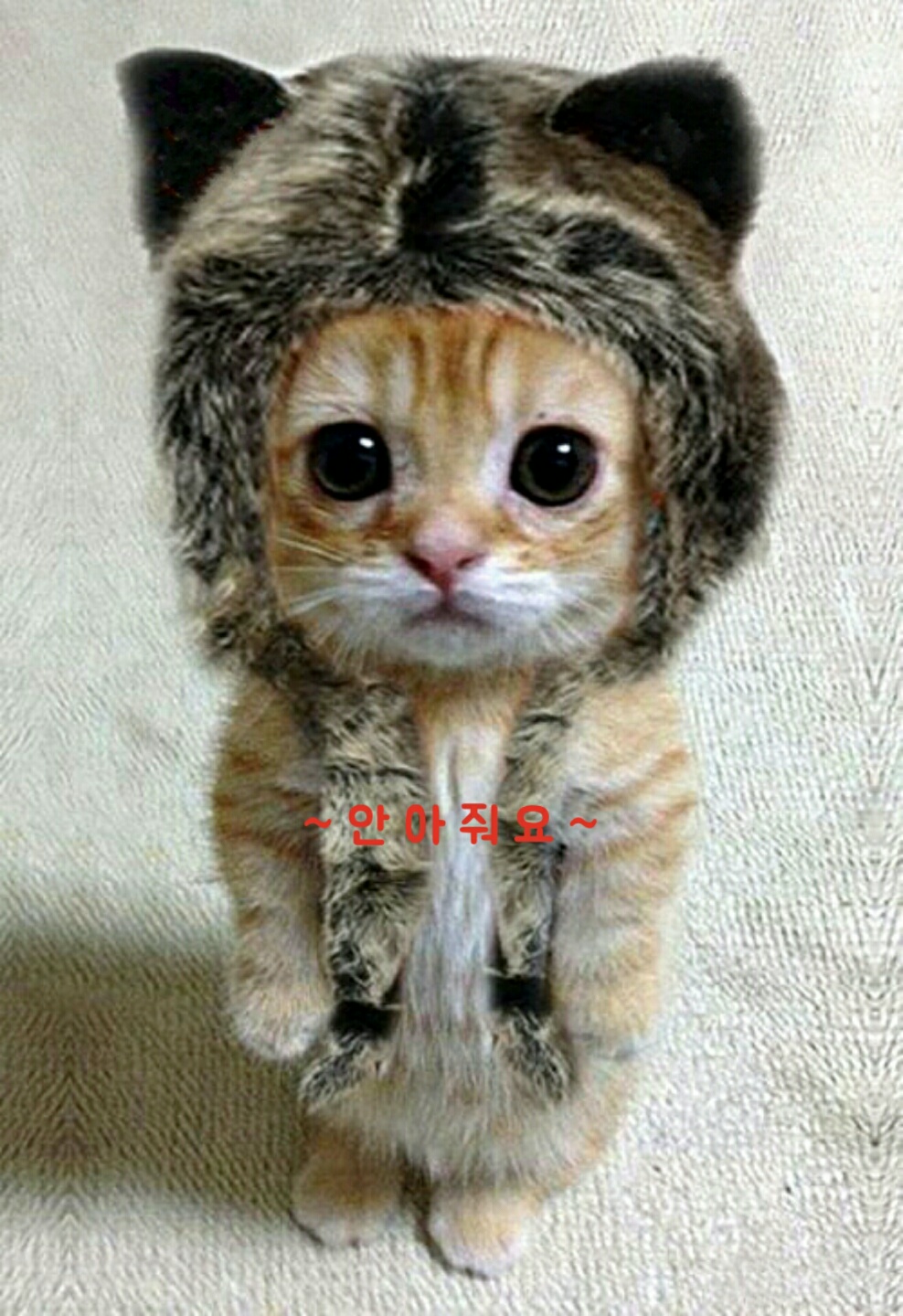 KakaoTalk_20150107_215318925.jpg