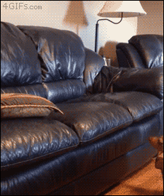 1471689944809.GIF