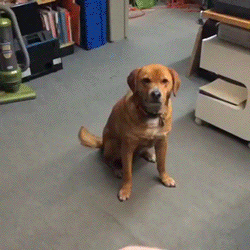 AR0551e569d0ec2b.gif