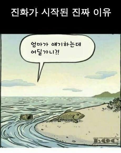 진화가 시작된 진짜 이유.jpg