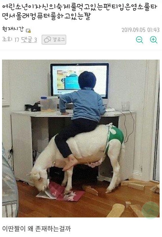 naver_com_20190906_123938.jpg