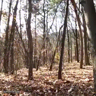 2041630308_uJbLenNd_20150208_144958_882932709.gif