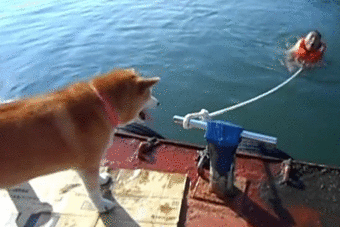 미안그만죽어.gif