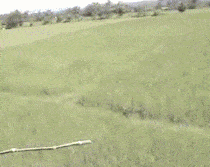 d56a8bd57707f469899b3f0306118d03.gif