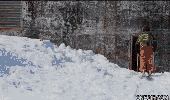 5.gif