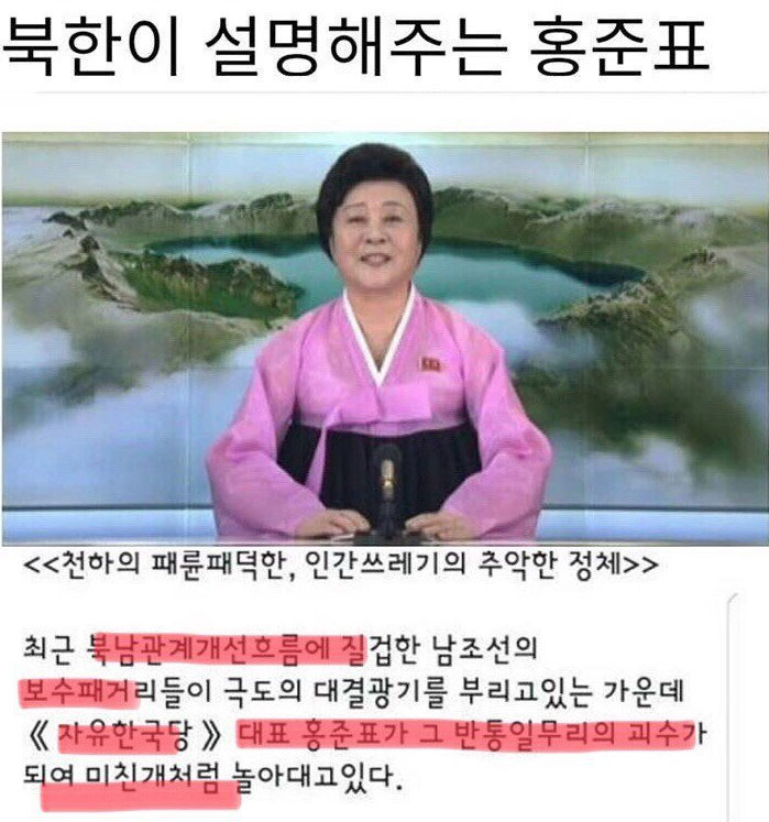 홍준표평가.jpg