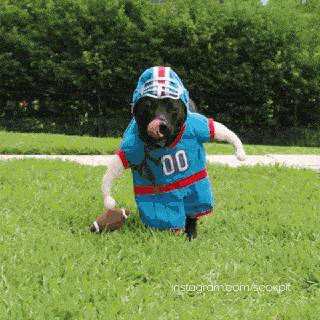 ab5N66r_460sa_v1.gif