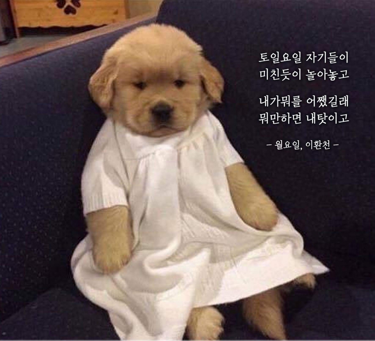 월요일.jpg