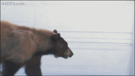 ZXCVV.gif