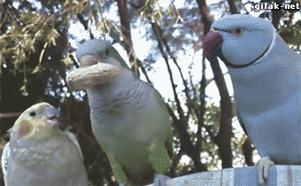 1473813969364.GIF